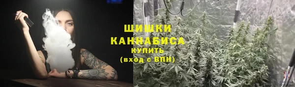трава Аркадак