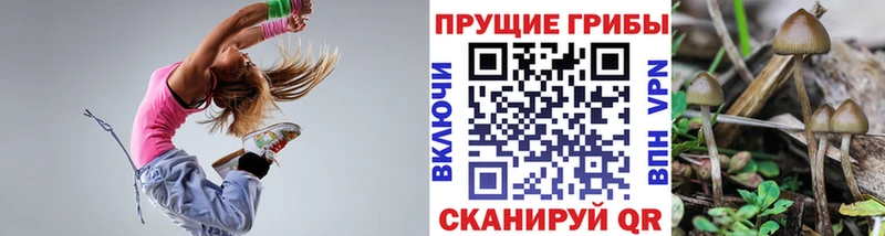 Псилоцибиновые грибы Magic Shrooms  даркнет сайт  Тавда 